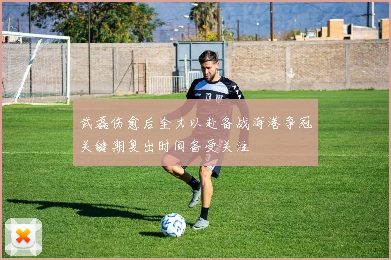 武磊伤愈后全力以赴备战海港争冠关键期复出时间备受关注