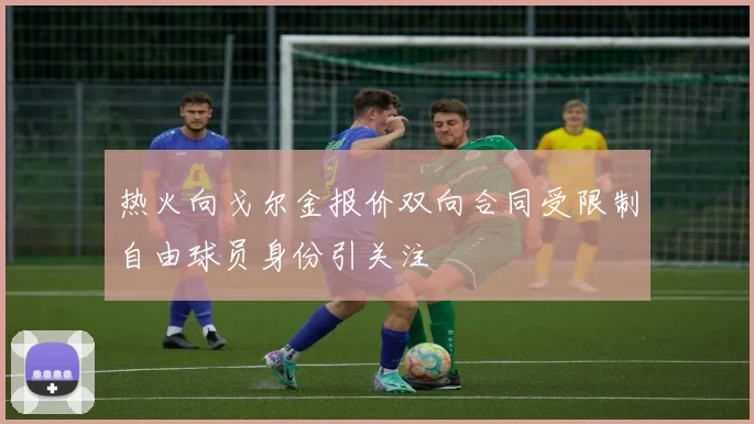 热火向戈尔金报价双向合同受限制自由球员身份引关注